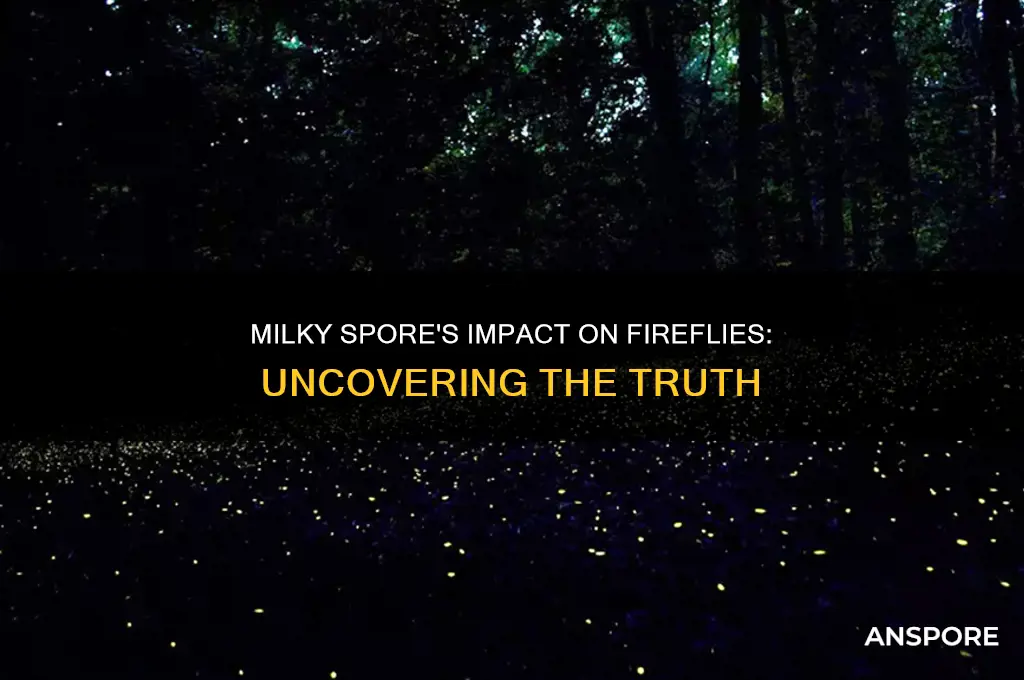 does milky spore kill fireflies