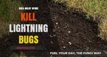 Milky Spore's Impact: Does It Harm Lightning Bugs in Your Garden?