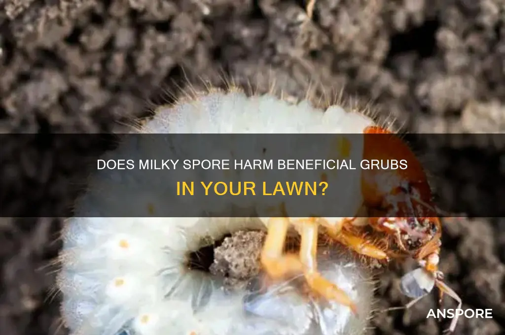 does milky spore kill other grubs