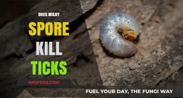 Milky Spore and Tick Control: Effective Solution or Myth?