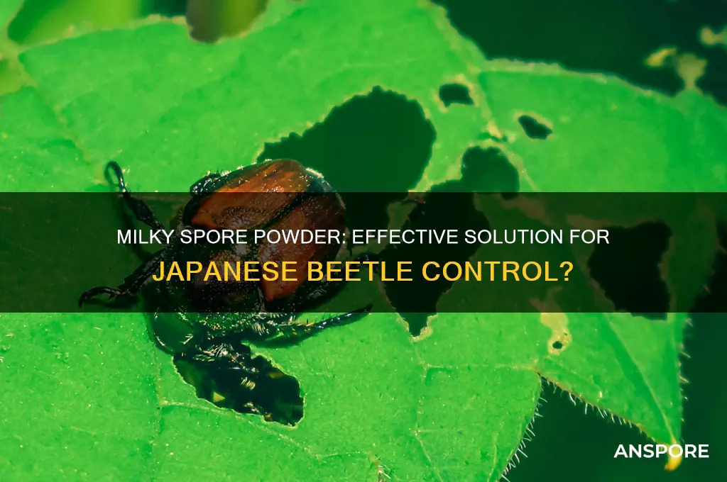 does milky spore powder work for japanese beetles