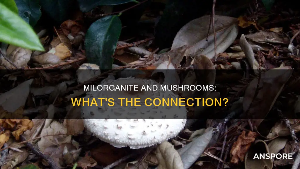 does milorganite cause mushrooms