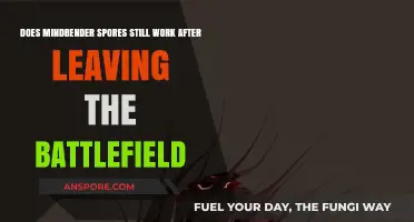 Mindbender Spores' Lingering Effects: Post-Battlefield Functionality Explained