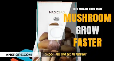 Miracle-Gro's Impact: Can It Accelerate Mushroom Growth Effectively?