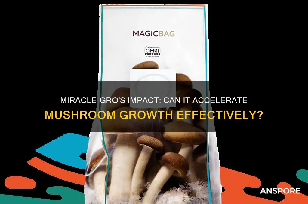 does miracle grow make mushrooms grow faster