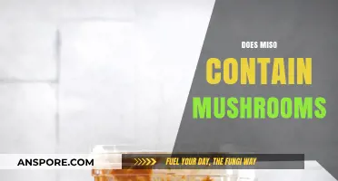 Miso and Mushrooms: What's the Deal?