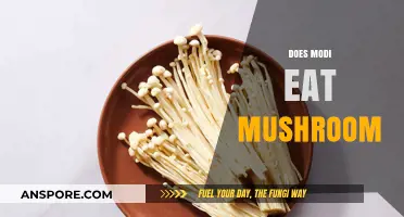 Does Modi Eat Mushrooms? Unraveling the Prime Minister's Dietary Habits