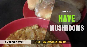 Moe's Mushroom Mystery: Are They on the Menu?