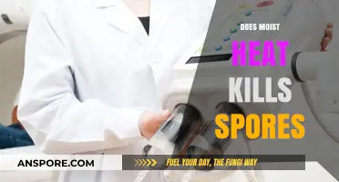 Moist Heat vs. Spores: Can It Effectively Kill Them?