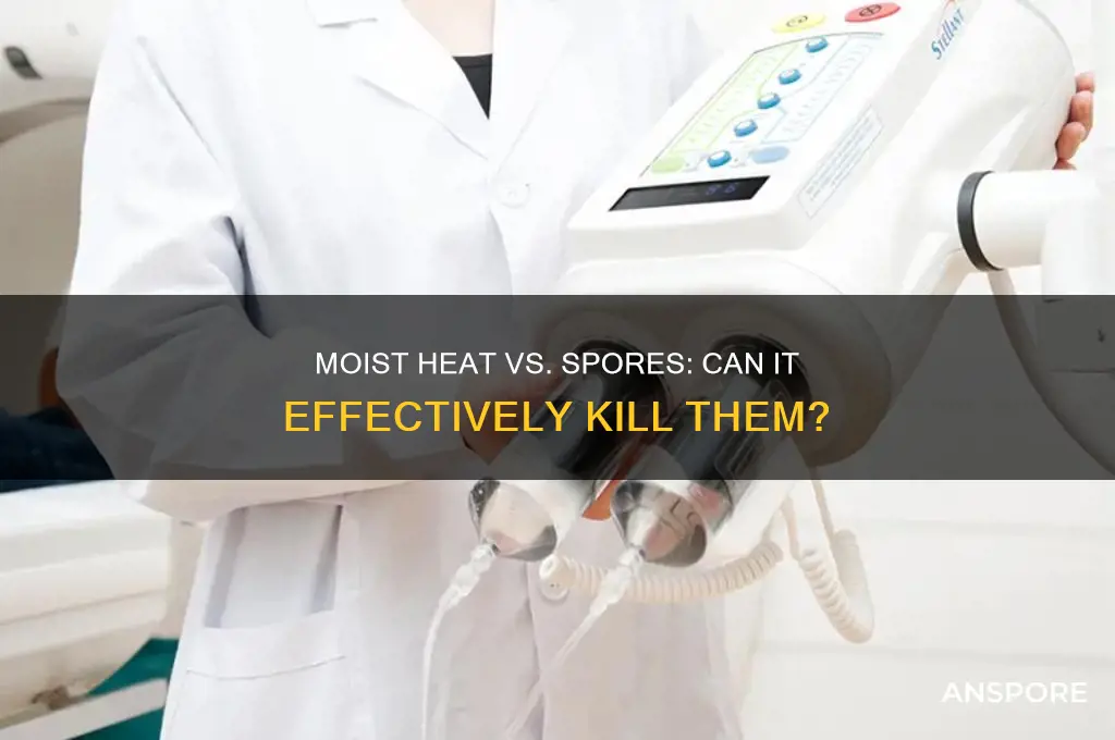 does moist heat kills spores