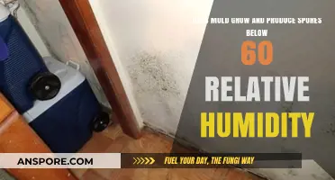 Can Mold Thrive and Sporulate in Humidity Below 60%?