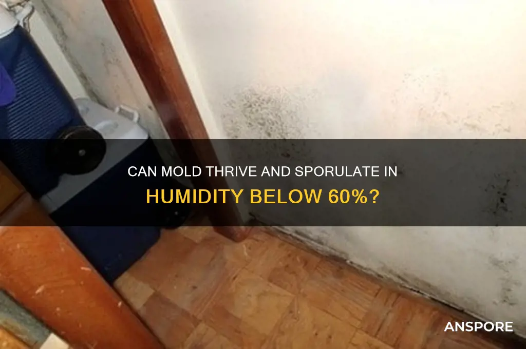 does mold grow and produce spores below 60 relative humidity