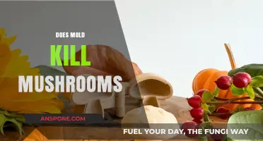 Mold vs Mushrooms: Who Wins the Battle?