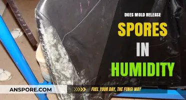 How Humidity Triggers Mold Spores: Understanding the Release Process