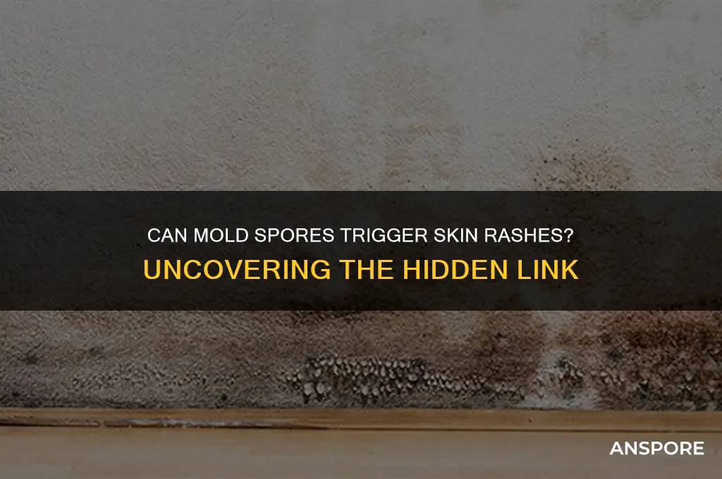 does mold spores cause rashes