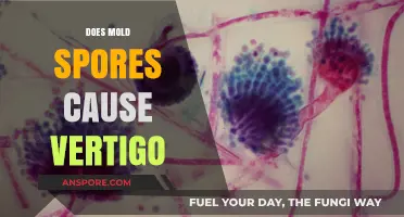 Mold Spores and Vertigo: Unraveling the Surprising Connection