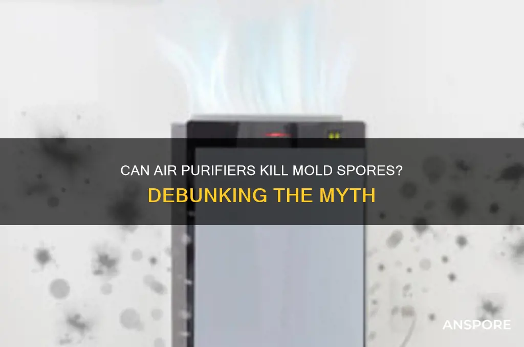 does mold spores die with air purifier remove