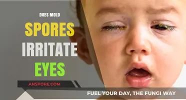 Can Mold Spores Cause Eye Irritation? Understanding the Risks