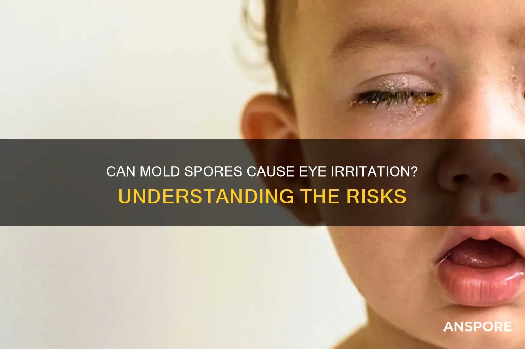 does mold spores irritate eyes