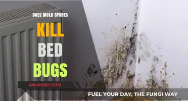 Can Mold Spores Eliminate Bed Bugs? Uncovering the Truth