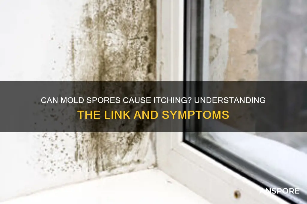 does mold spores make you itch