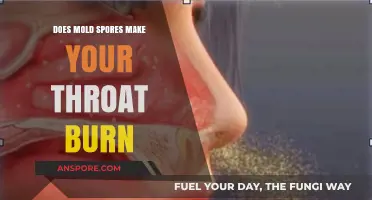 Can Mold Spores Cause a Burning Sensation in Your Throat?