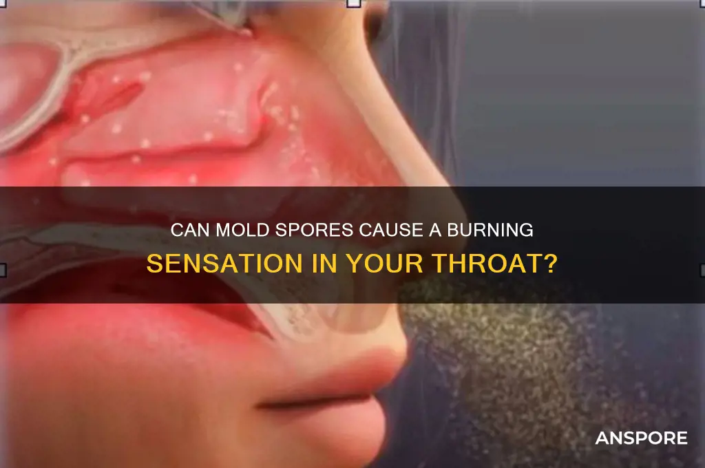 does mold spores make your throat burn