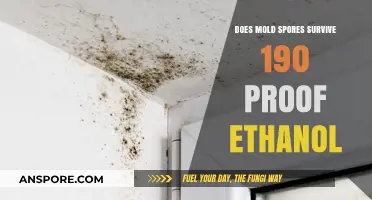 Can Mold Spores Survive in High-Proof Ethanol: 190 Proof Test