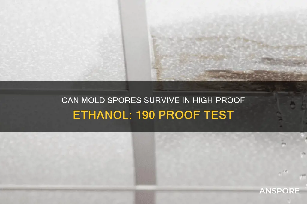 does mold spores survive 190 proof ethanol