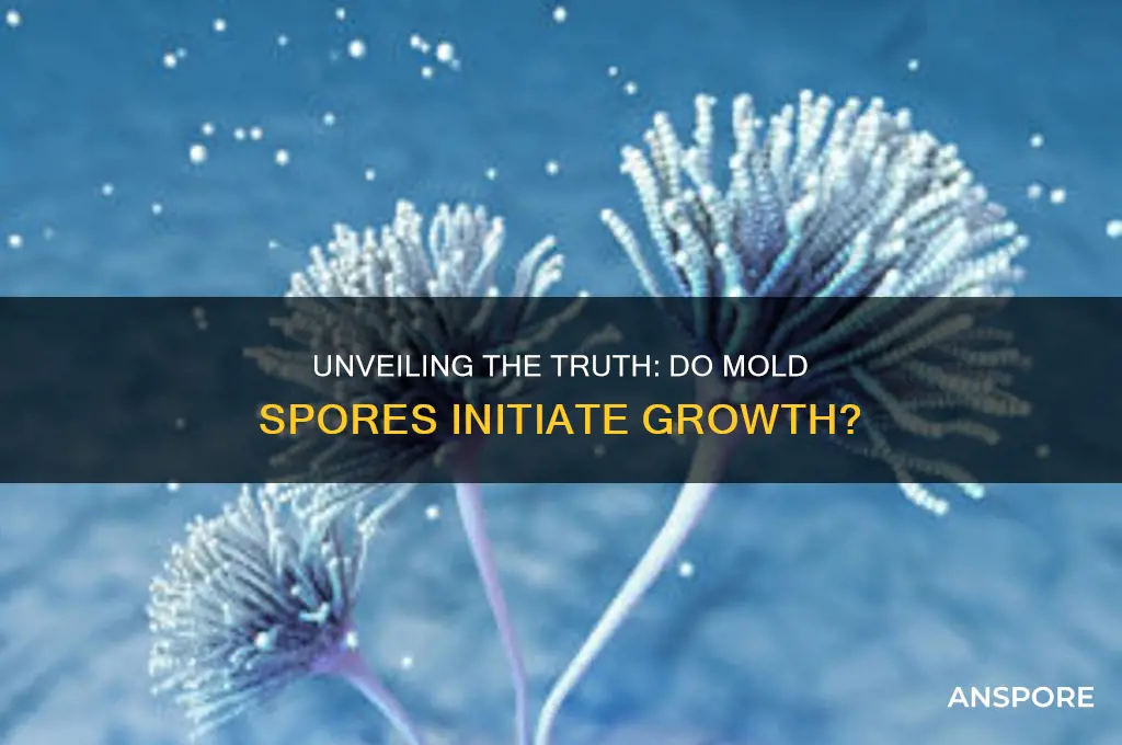 does mold start from spores