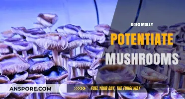 Psychedelics and Molly: A Potent Mix?