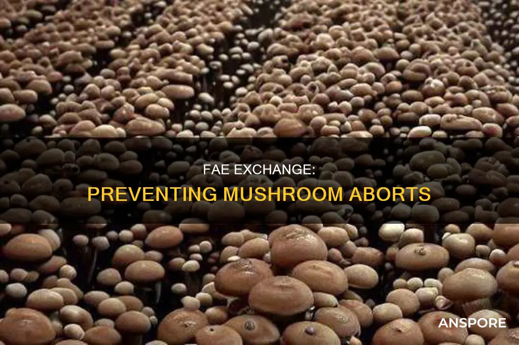 does more fae exchange prevent mushroom aborts