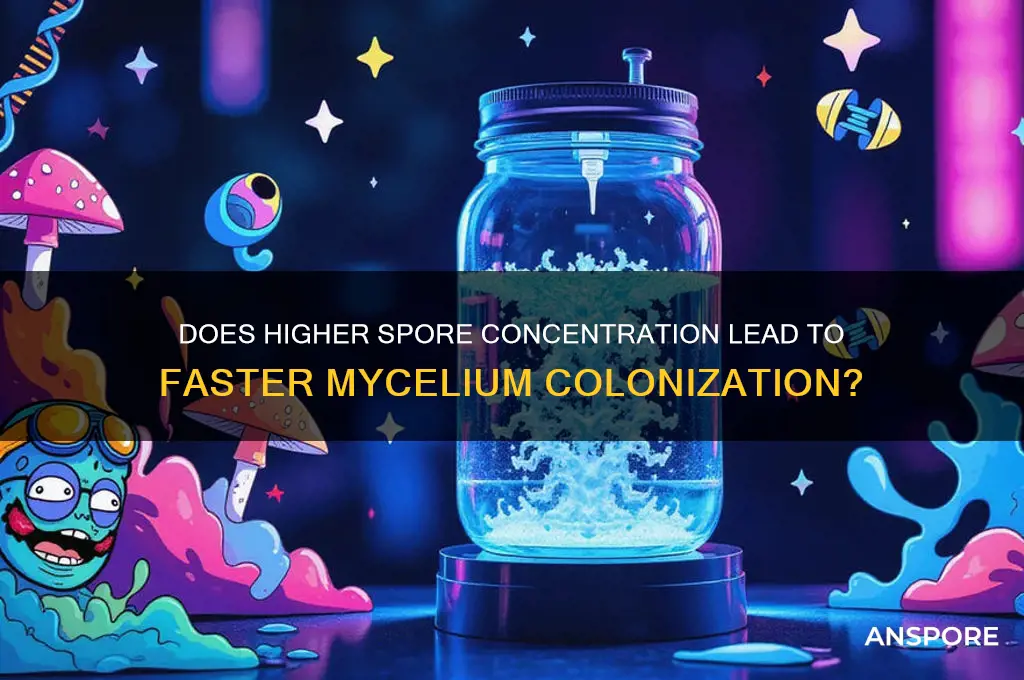 does more spore solution colonize faster