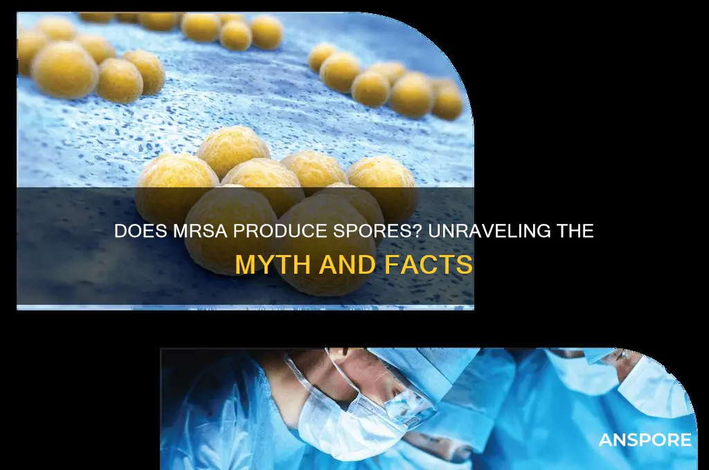 does mrsa have spore