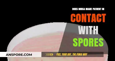 Does MRSA Exposure Risk Increase with Contact to Spores?