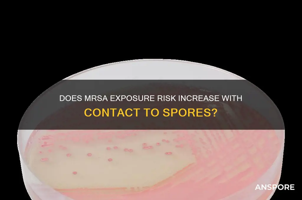 does mrsa make patient in contact with spores