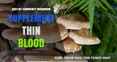 Mushroom Supplements: Blood Thinning Effects?
