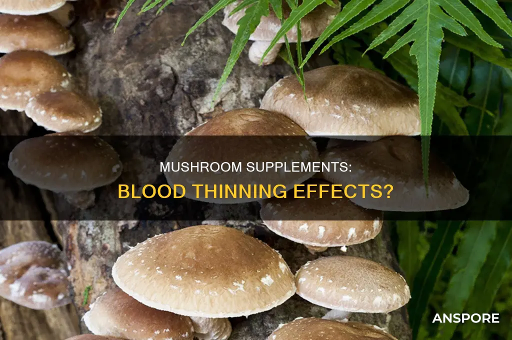 does mt community mushroom supplement thin blood