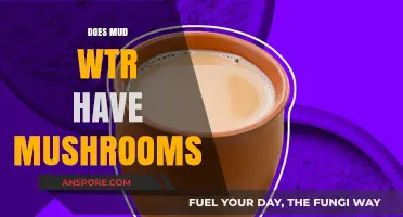 Mud Wtr's Mushroom Mix: A Healthy Morning Brew