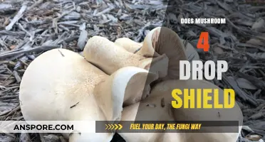 Mushroom 4: Does It Drop a Shield?