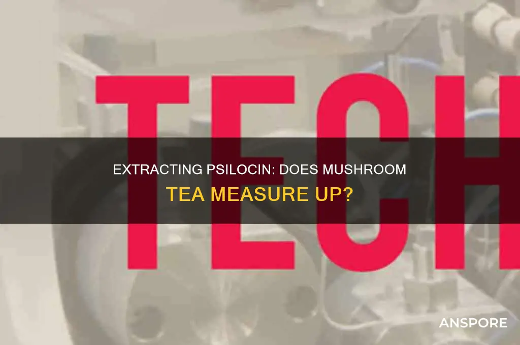 does mushroom 5ea extract all of the psilocin