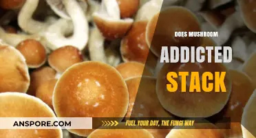 Mushroom Magic: Stacking for Addictive Results