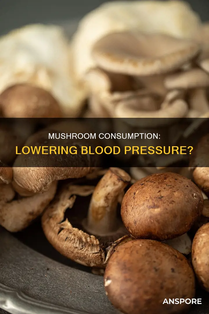 does mushroom affect blood pressure