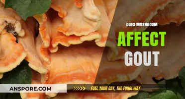 Mushrooms and Gout: Friend or Foe?