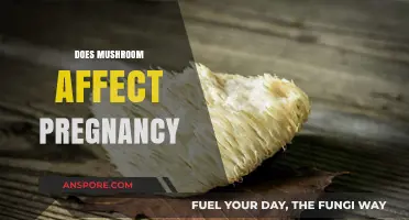 Mushroom Consumption During Pregnancy: Safe or Not?