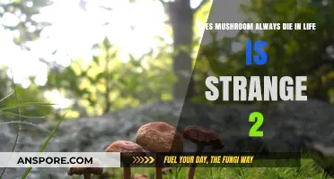 Life is Strange 2: Mushroom's Fate