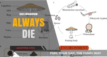 Mushrooms: Immortal or Just Resilient?