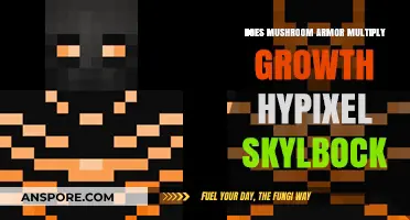 How Mushroom Armor Boosts Growth in Hypixel Skyblock