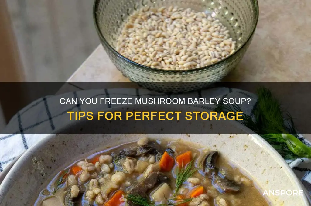 does mushroom barley soup freeze well