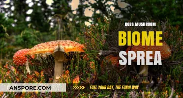 Mushroom Magic: How Does the Biome Spread?
